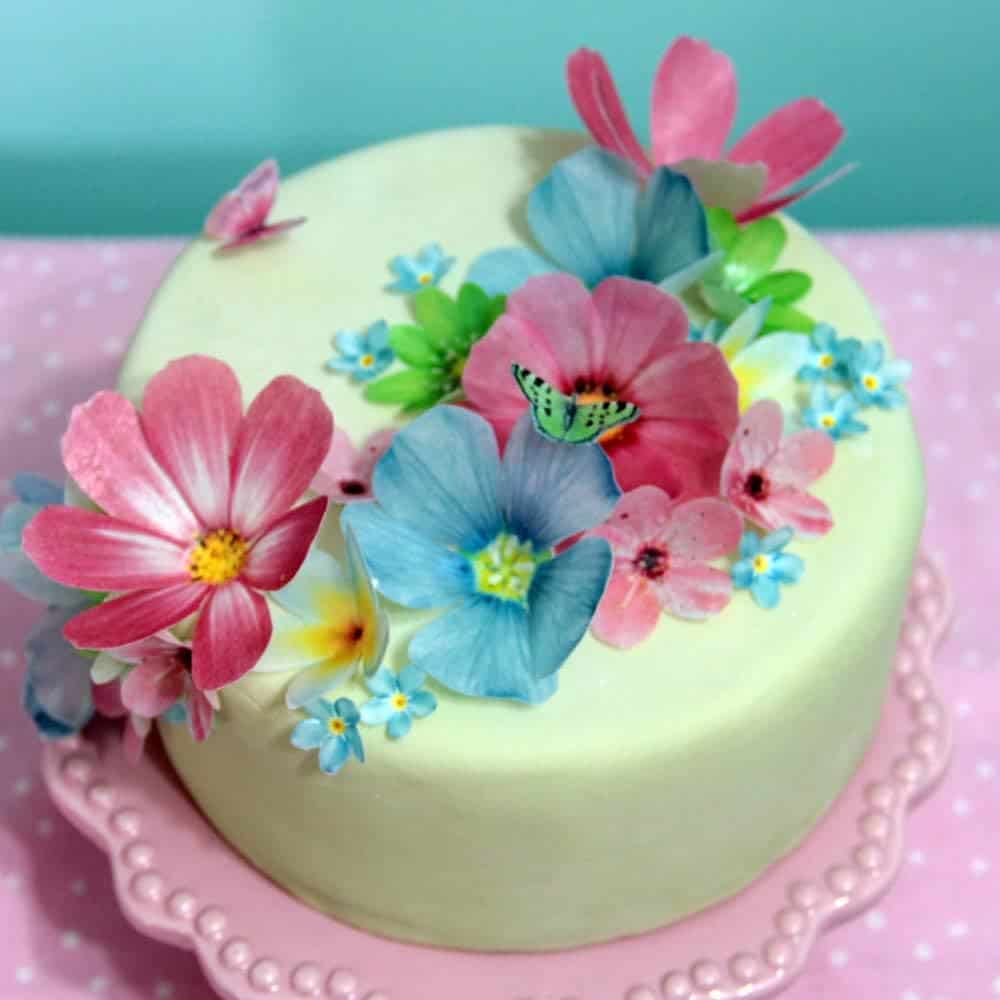 25 Edible Flowers For Cakes - Topsy Gardening
