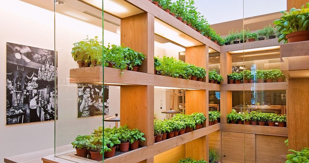 How To Create An Indoor Vegetable Garden - Topsygardening