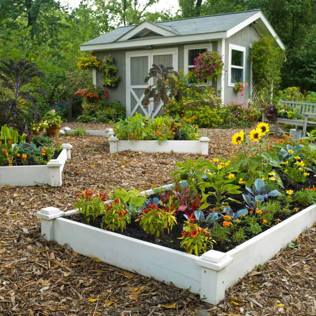 DIY Raised Bed Gardening: Step-by-Step Guide 2 raised garden bed 3