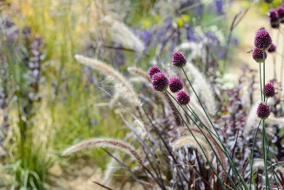 Tips for Choosing the Right Plants for Your Yard 3 Tips for Choosing the Right Plants for Your Yard
